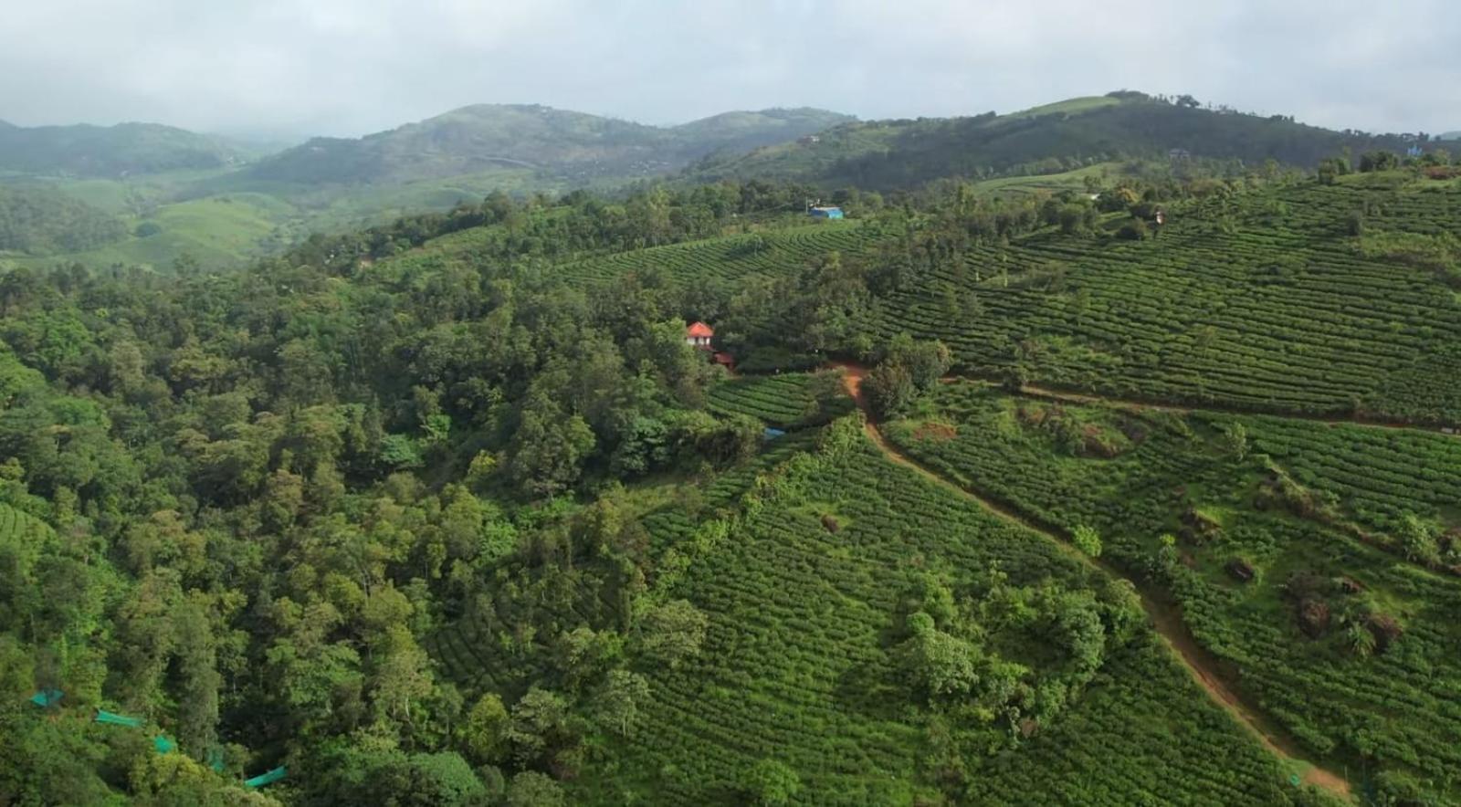 Pensjonat Tea Haven By Yathroam Vagamon Zewnętrze zdjęcie